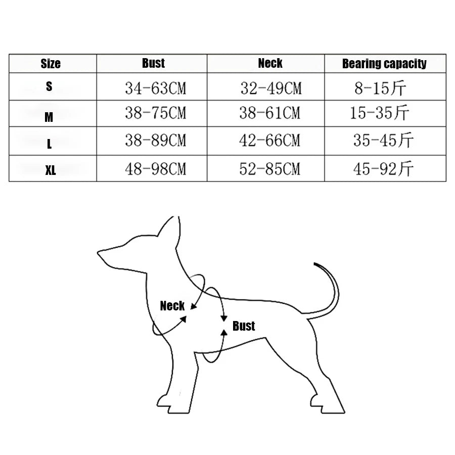 Dog Leash & Harness Set