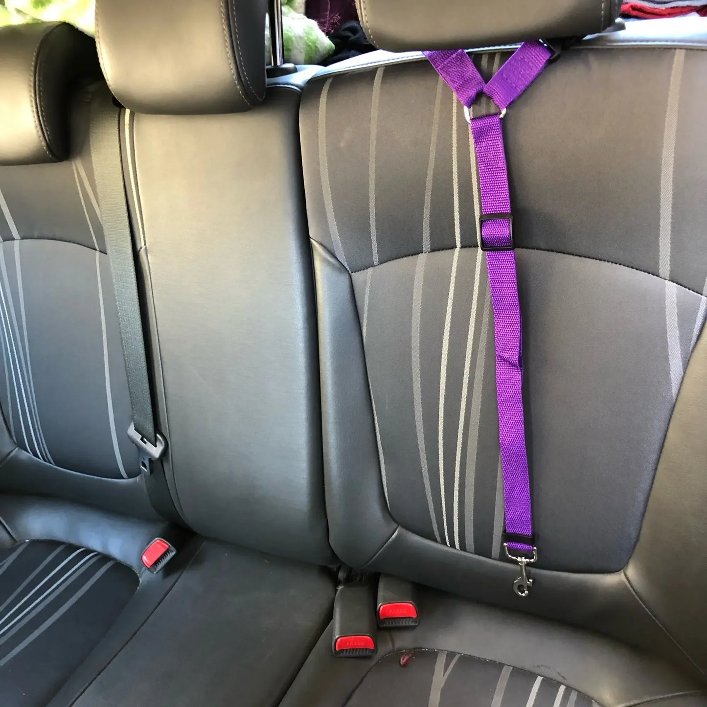 Pet Seat Belt & Leash