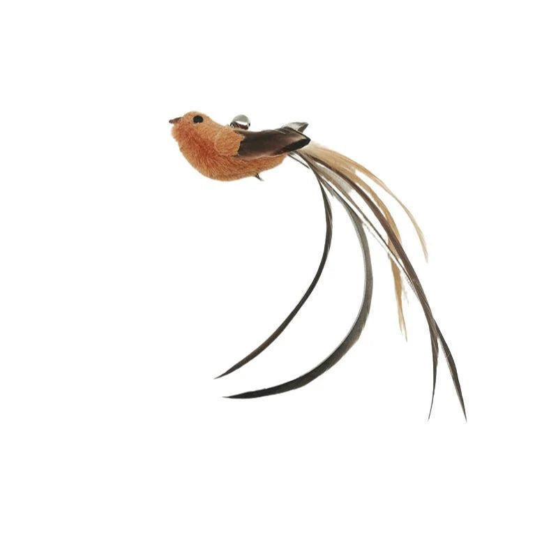 Bird Feather Cat Teaser