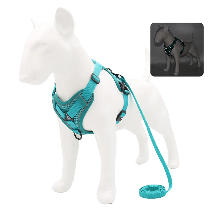 Adjustable Dog Harness & Leash Set