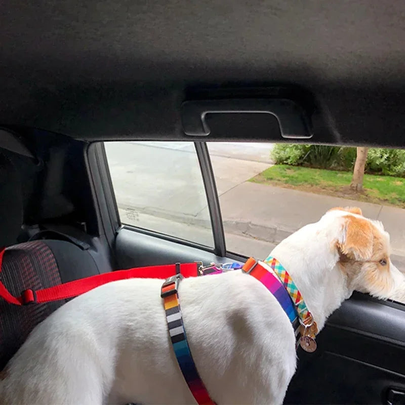 Pet Seat Belt & Leash