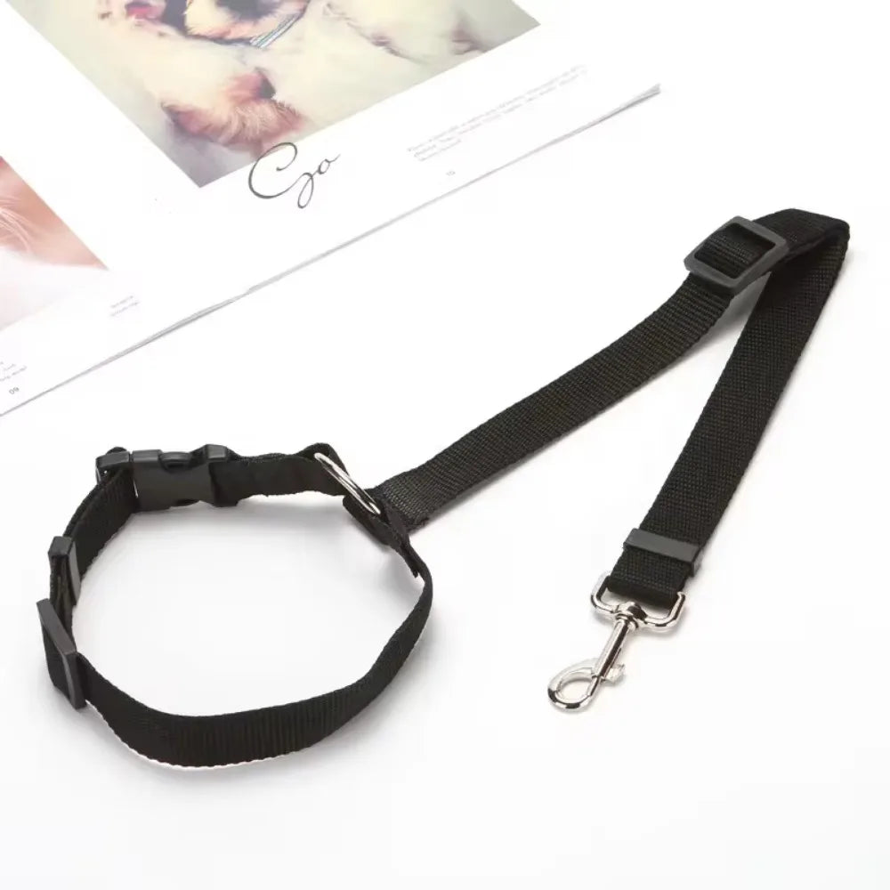 Pet Seat Belt & Leash