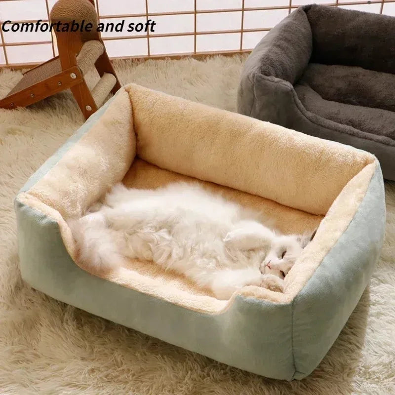 Cat Bed & Basket