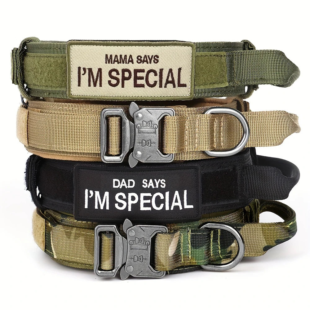 Heavy-Duty Tactical Dog Collar