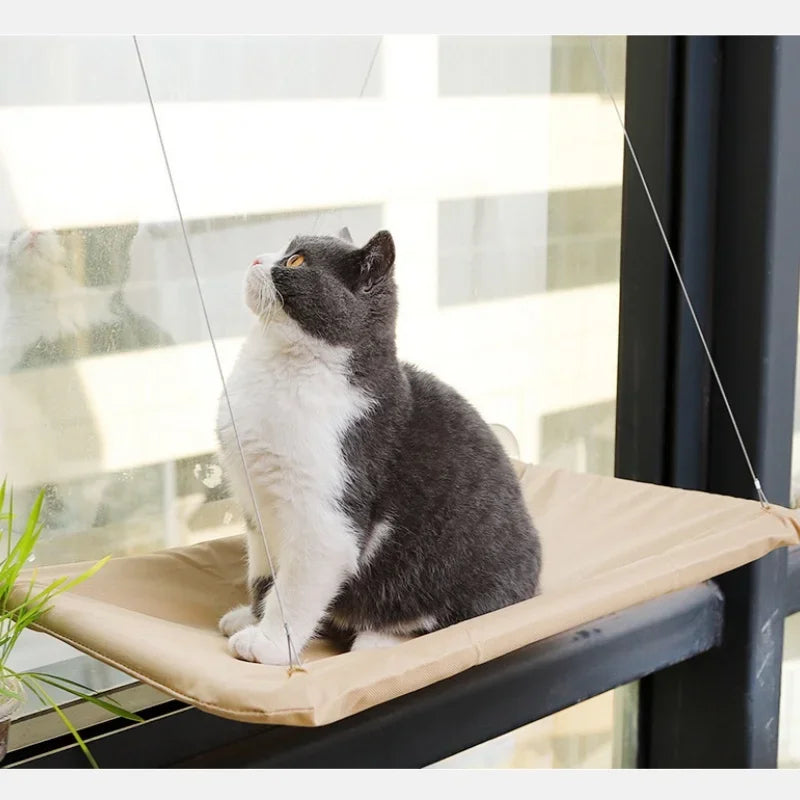 Cat Window Hammock