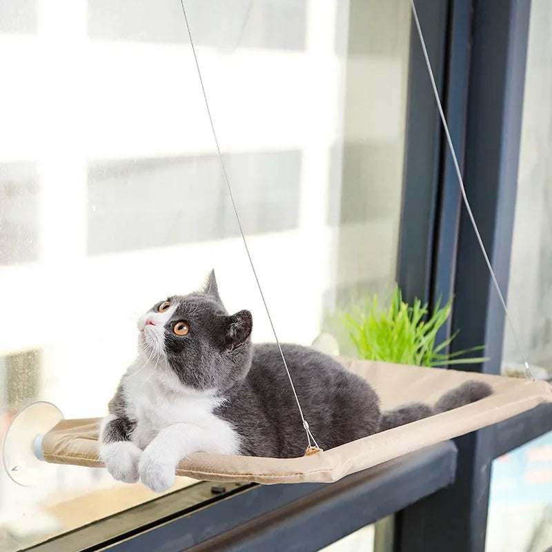 Cat Window Hammock
