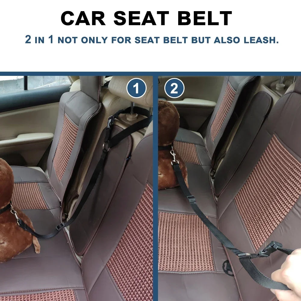 Pet Seat Belt & Leash
