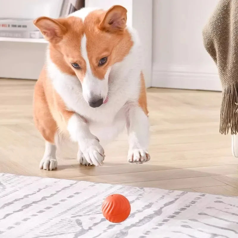 Dog Toy Ball
