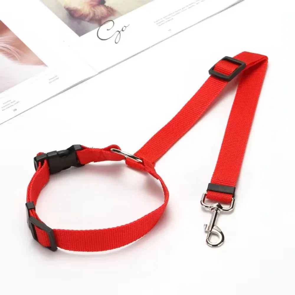 Pet Seat Belt & Leash