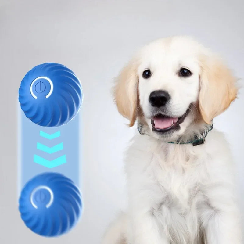 Dog Toy Ball