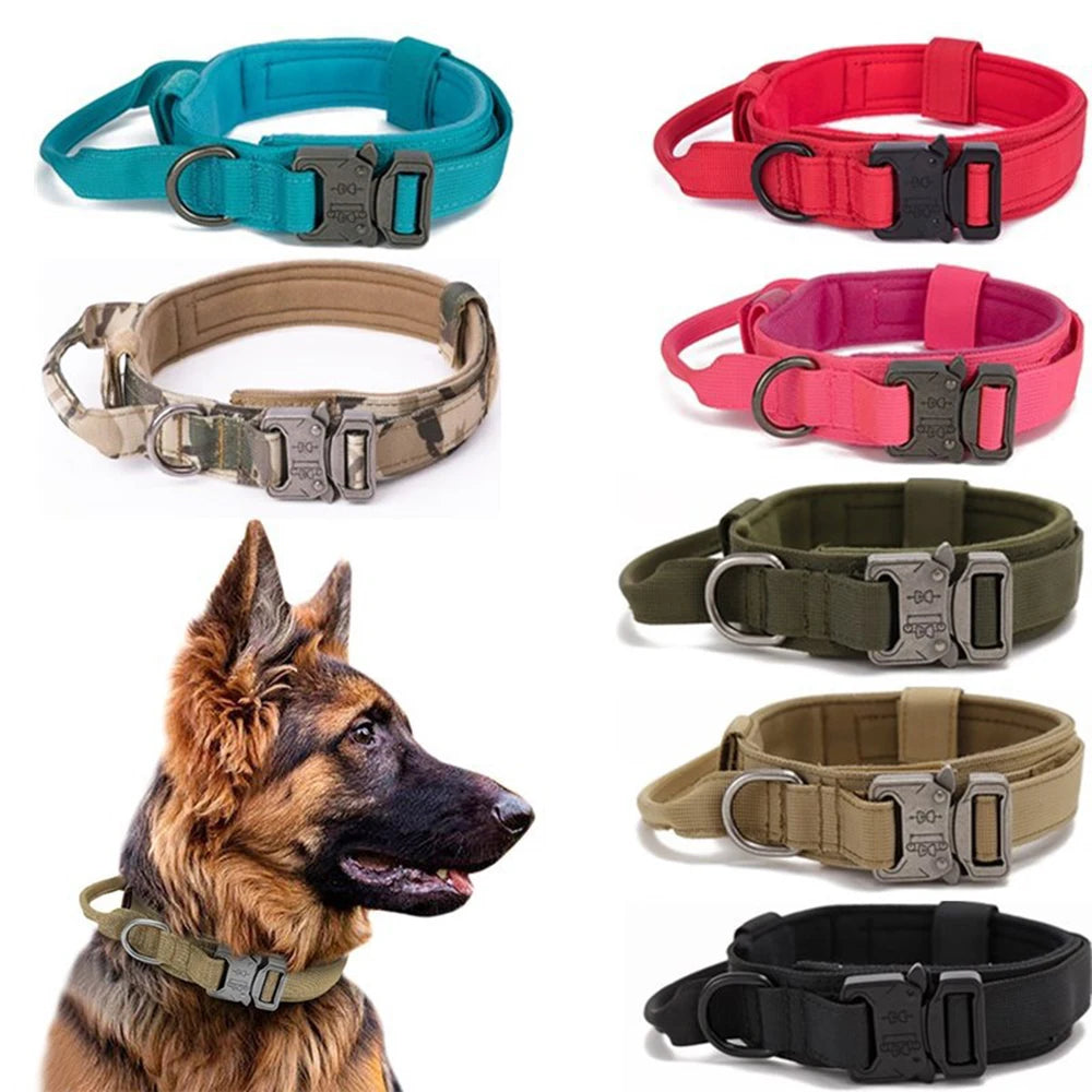 Nylon Pet Dog Collar & Leash Set