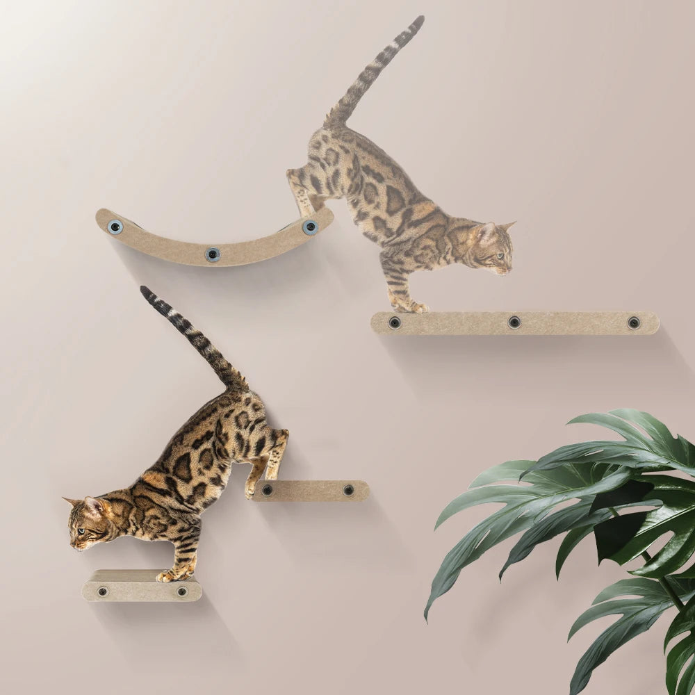 Wall-Mounted Cat Climbing Shelf