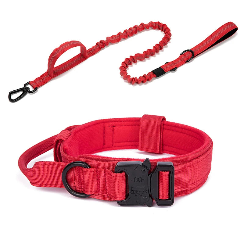 Nylon Pet Dog Collar & Leash Set