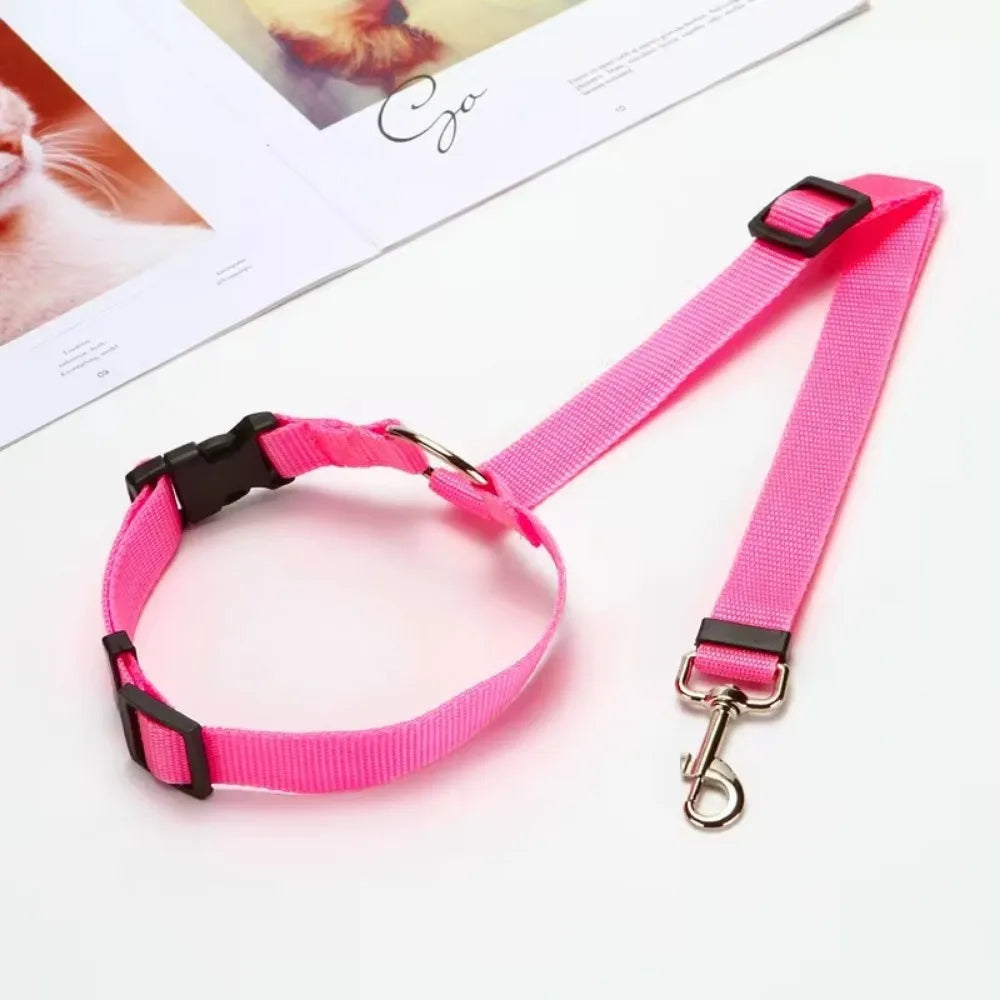 Pet Seat Belt & Leash