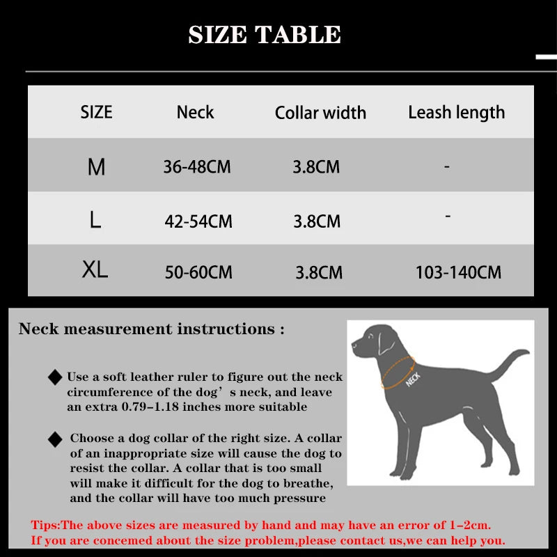 Nylon Pet Dog Collar & Leash Set
