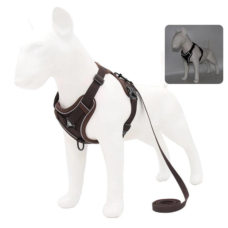 Adjustable Dog Harness & Leash Set