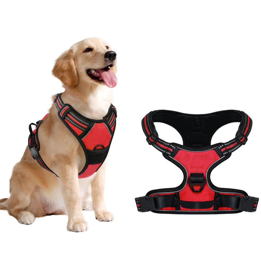 Dog Leash & Harness Set