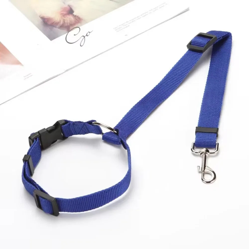 Pet Seat Belt & Leash