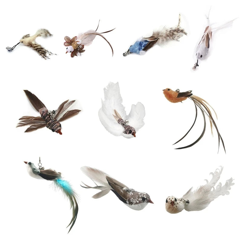Bird Feather Cat Teaser