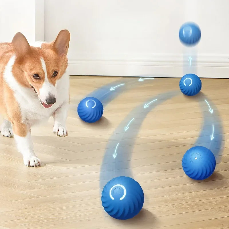 Dog Toy Ball