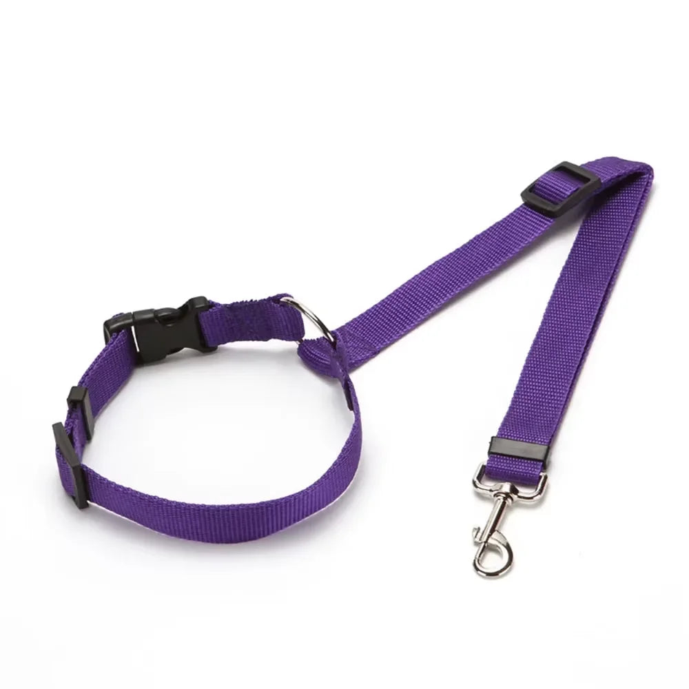 Pet Seat Belt & Leash