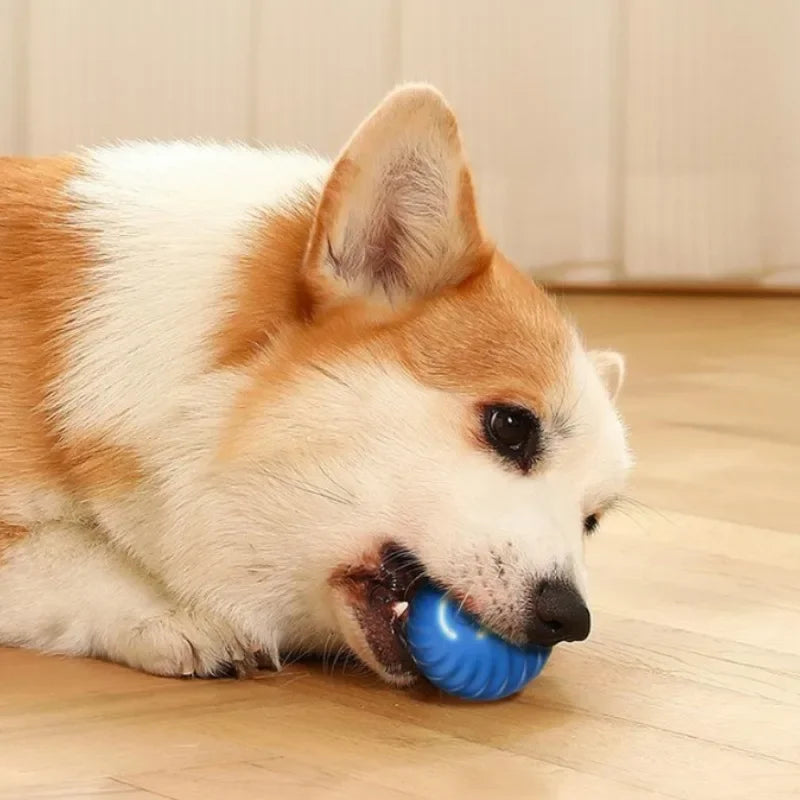Dog Toy Ball
