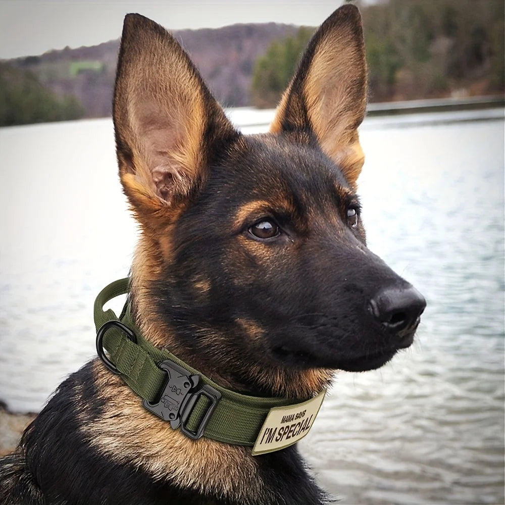 Heavy-Duty Tactical Dog Collar