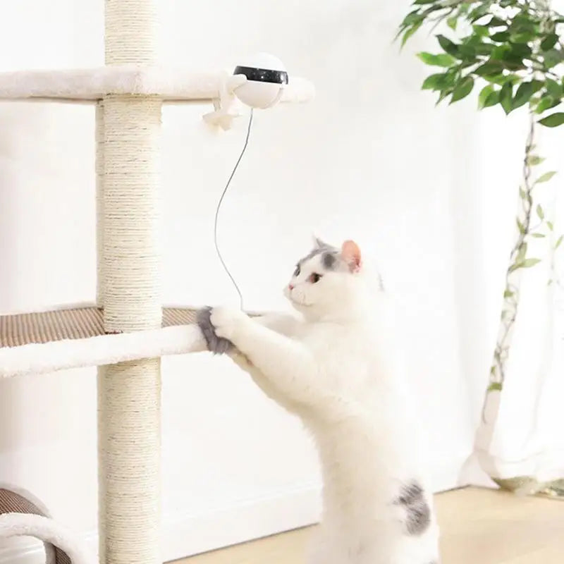 Automatic Cat Toy Ball