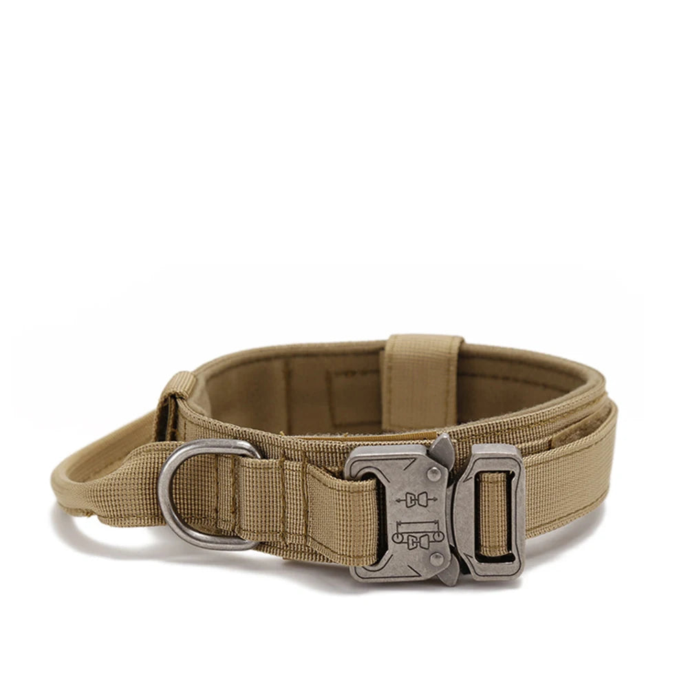 Nylon Pet Dog Collar & Leash Set