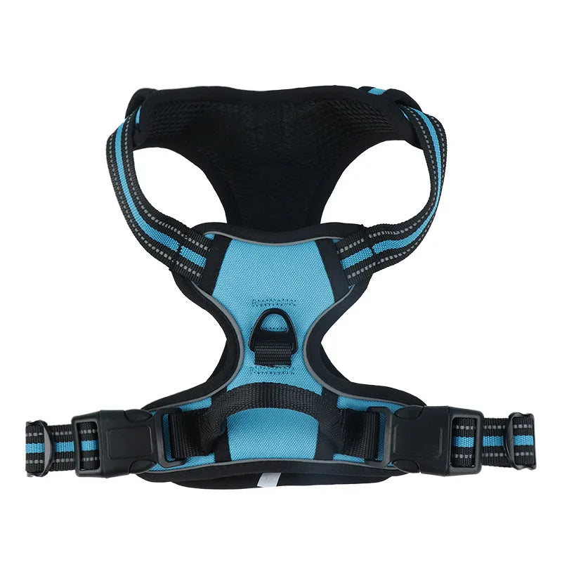 Dog Leash & Harness Set