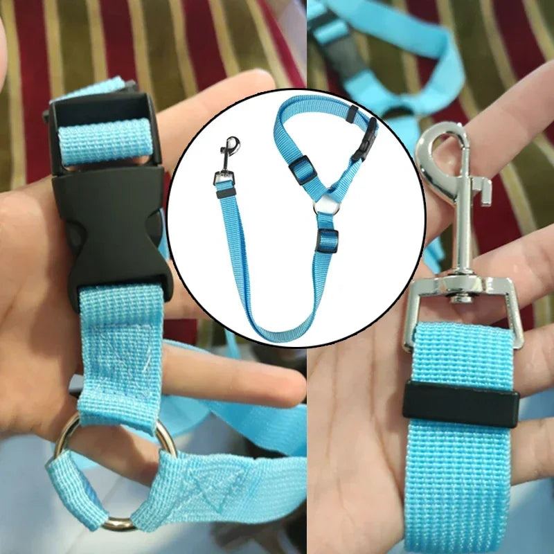 Pet Seat Belt & Leash