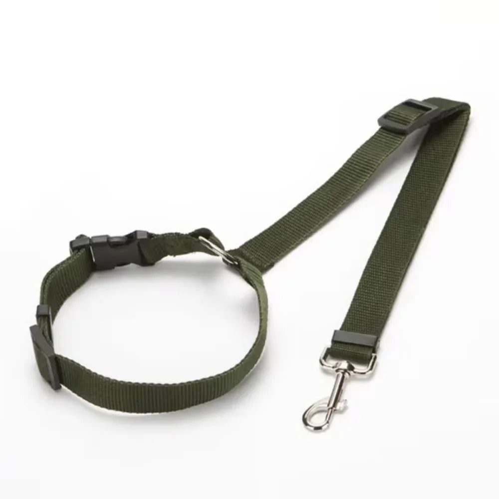 Pet Seat Belt & Leash