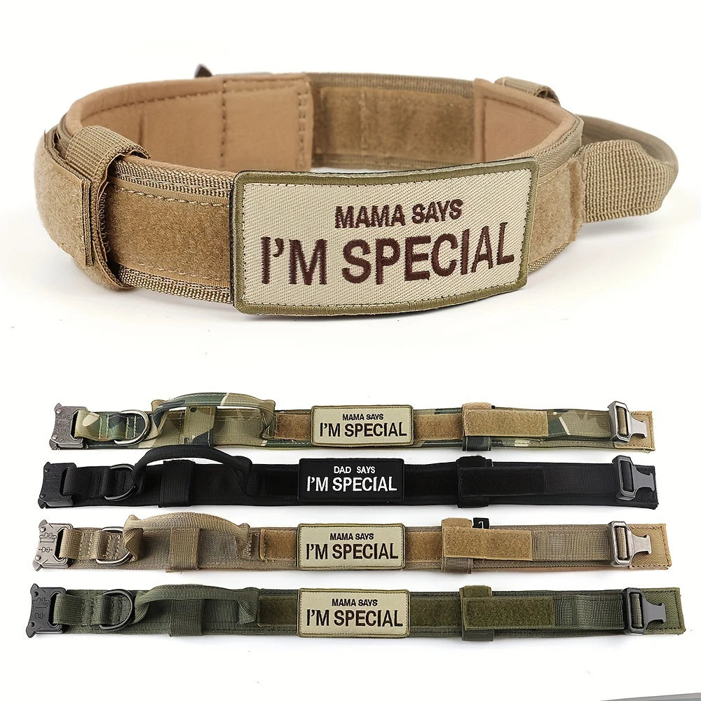 Heavy-Duty Tactical Dog Collar