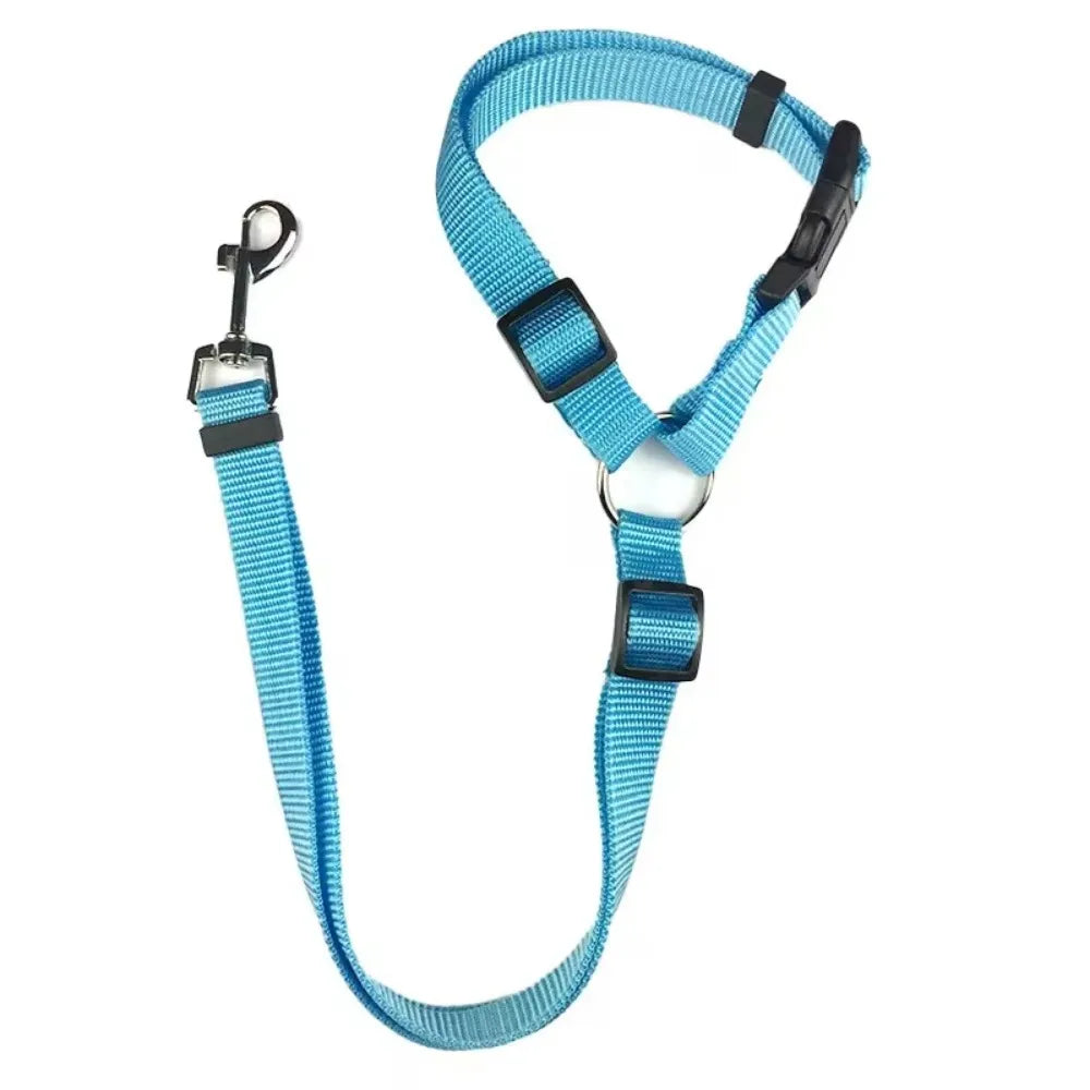 Pet Seat Belt & Leash