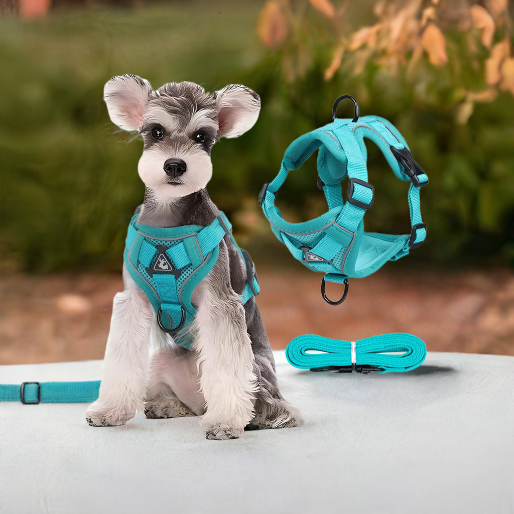 Adjustable Dog Harness & Leash Set