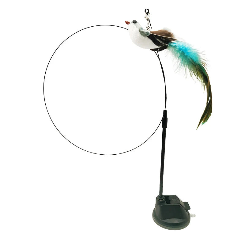 Suction Bird Feather Caty Toy