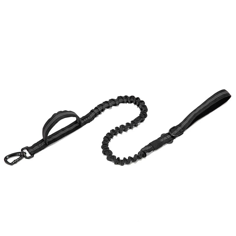 Nylon Pet Dog Collar & Leash Set