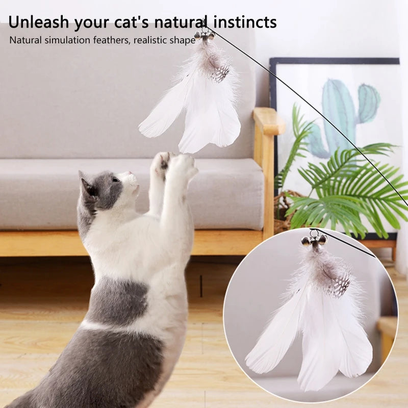 Suction Bird Feather Caty Toy