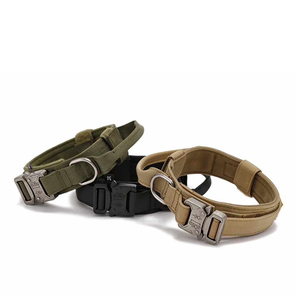 Nylon Pet Dog Collar & Leash Set