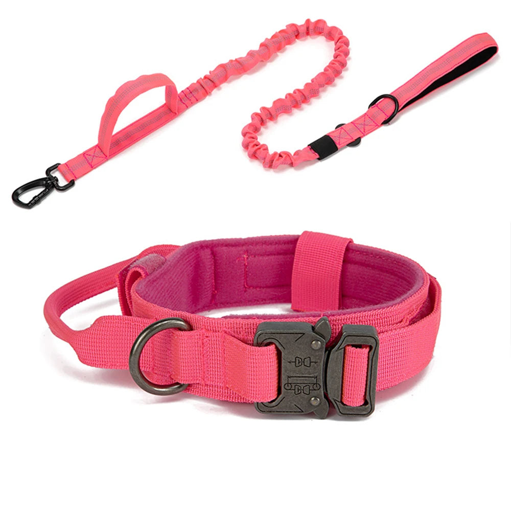 Nylon Pet Dog Collar & Leash Set