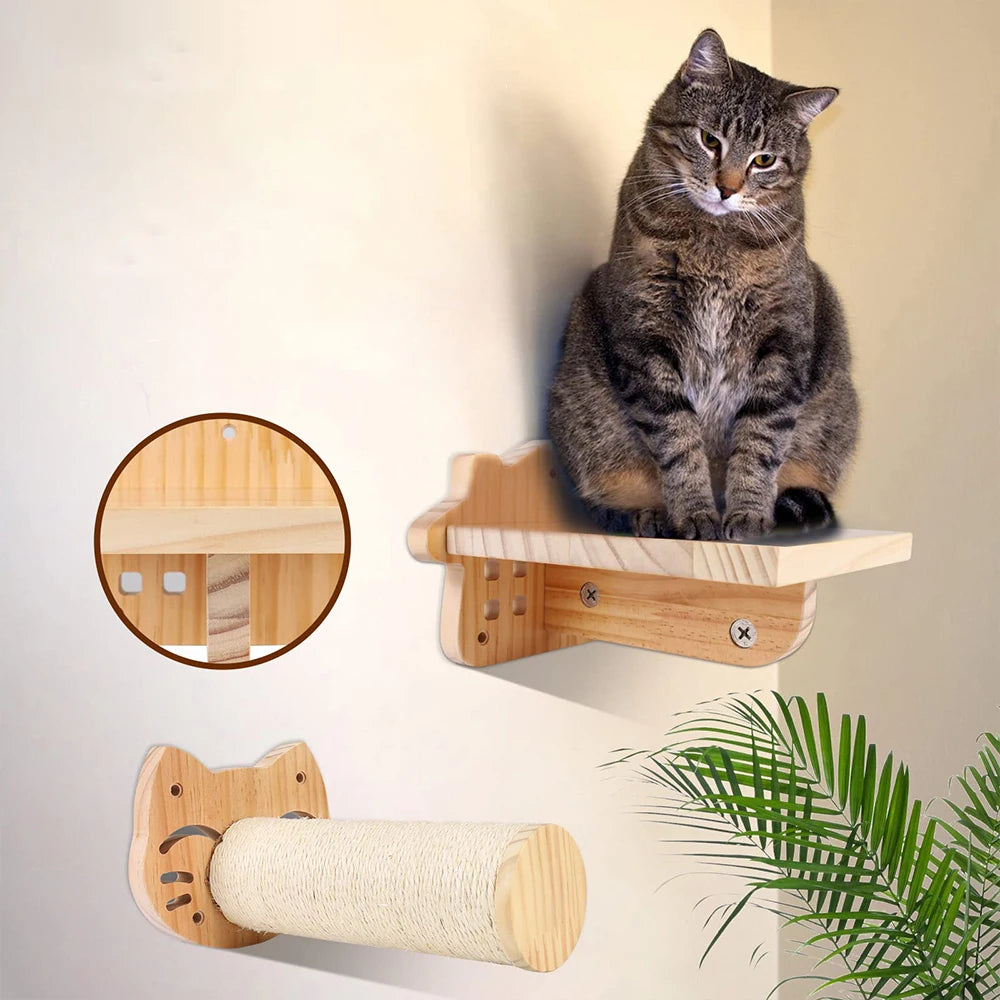 Wall-Mounted Cat Accessories