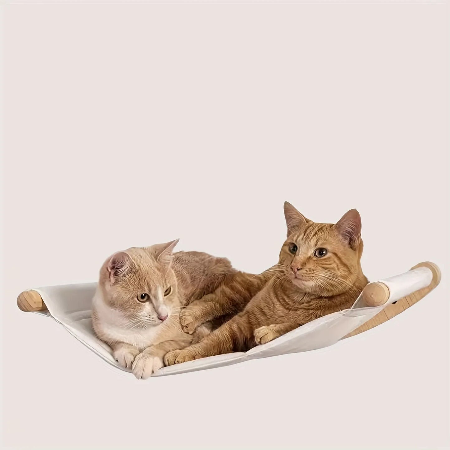 Wall-Mounted Cat Hammock & Shelves