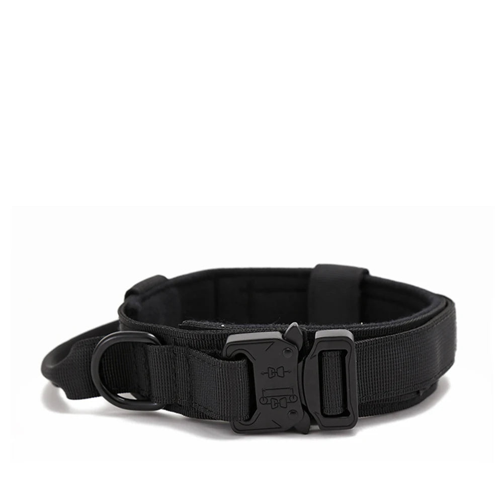 Nylon Pet Dog Collar & Leash Set