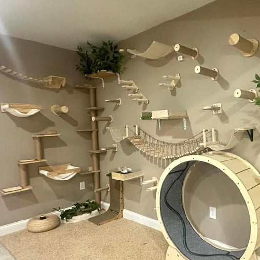 Wall-Mounted Cat Furniture