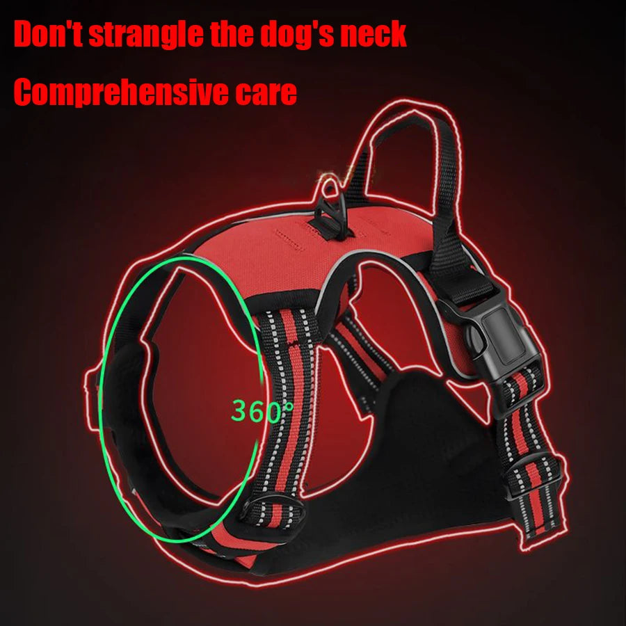 Dog Leash & Harness Set