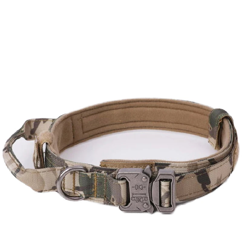 Nylon Pet Dog Collar & Leash Set