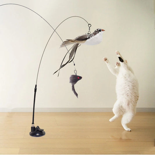 Suction Bird Feather Caty Toy
