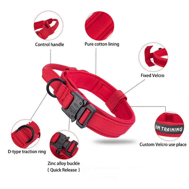 Nylon Pet Dog Collar & Leash Set