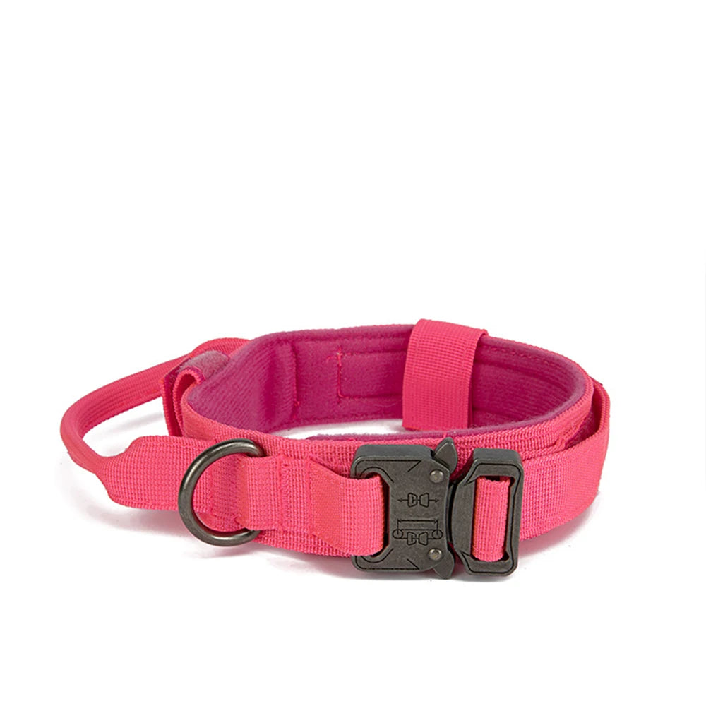 Nylon Pet Dog Collar & Leash Set