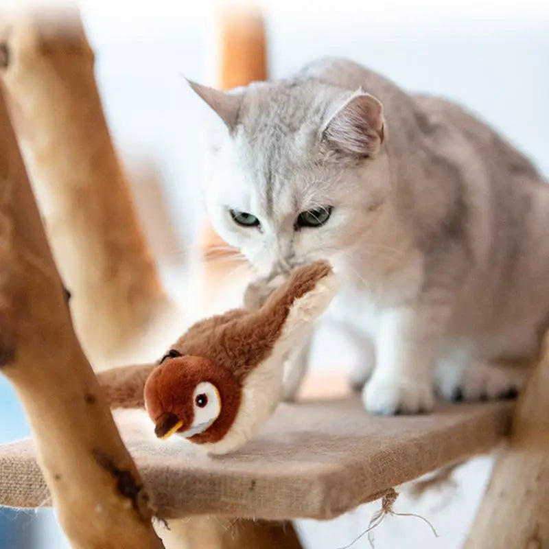 Flying Bird Cat Toy